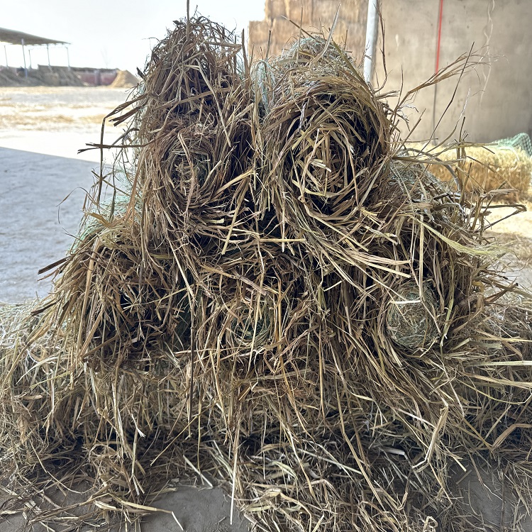 植物纖維草毯