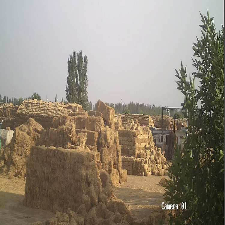 寧夏小优视频破解版廠家